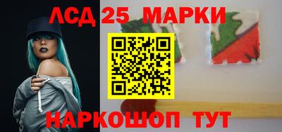 прущие грибы Кандалакша