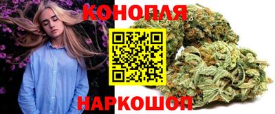 прущие грибы Кандалакша