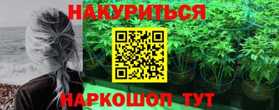 крисы Канаш